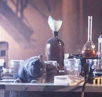 Jabba in the laboratory